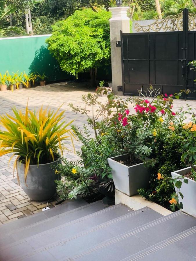 Coral Palm Villa And Apartment Унаватуна Екстериор снимка